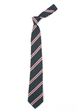 Harris Academy Purley Tie - Red (Yrs 9-11)